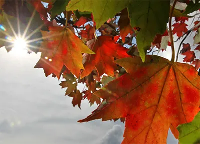 October should feel different