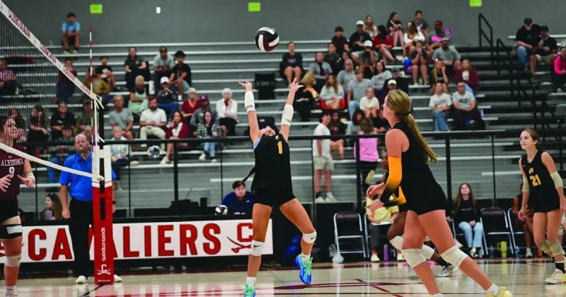 Lady Warriors fall to Caledonia in second round