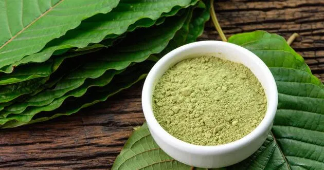 Nettleton aldermen approve kratom, nitrous oxide action