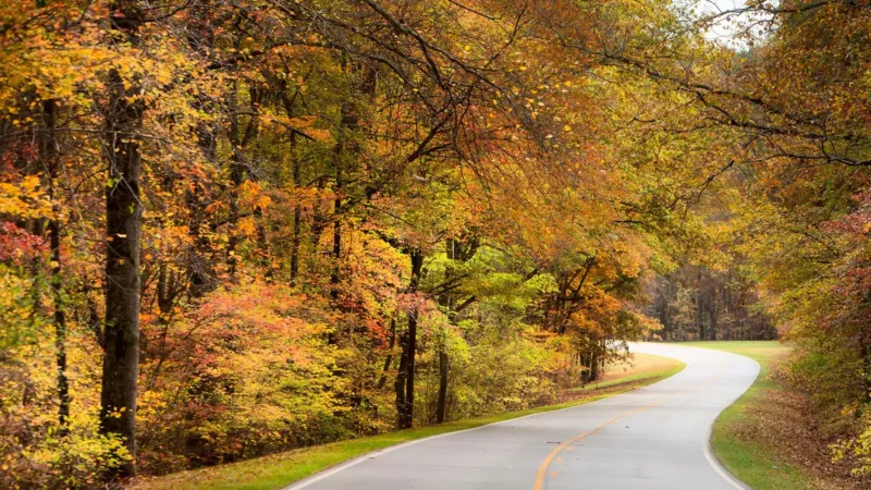 Cooler temperatures expected across Mississippi this weekend as fire danger rises