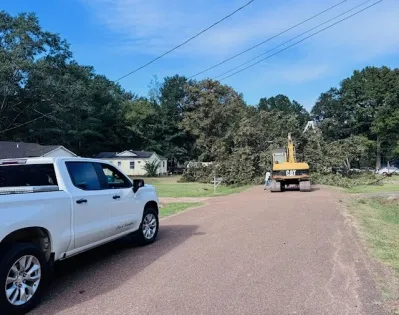 Fallen trees block roads, damage power lines in Attala County