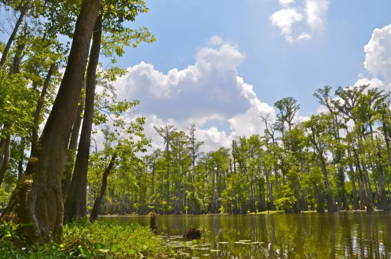 Your Mississippi forecast for Friday, October 16
