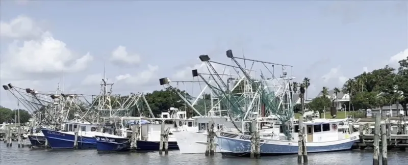 New waters open to shrimping in South Mississippi