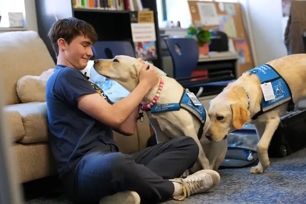 Therapy dogs bring calm and joy to students following shooting at Colorado high school