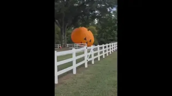 Good grief, Charlie Brown! Giant inflatable pumpkin takes pre-Halloween flight