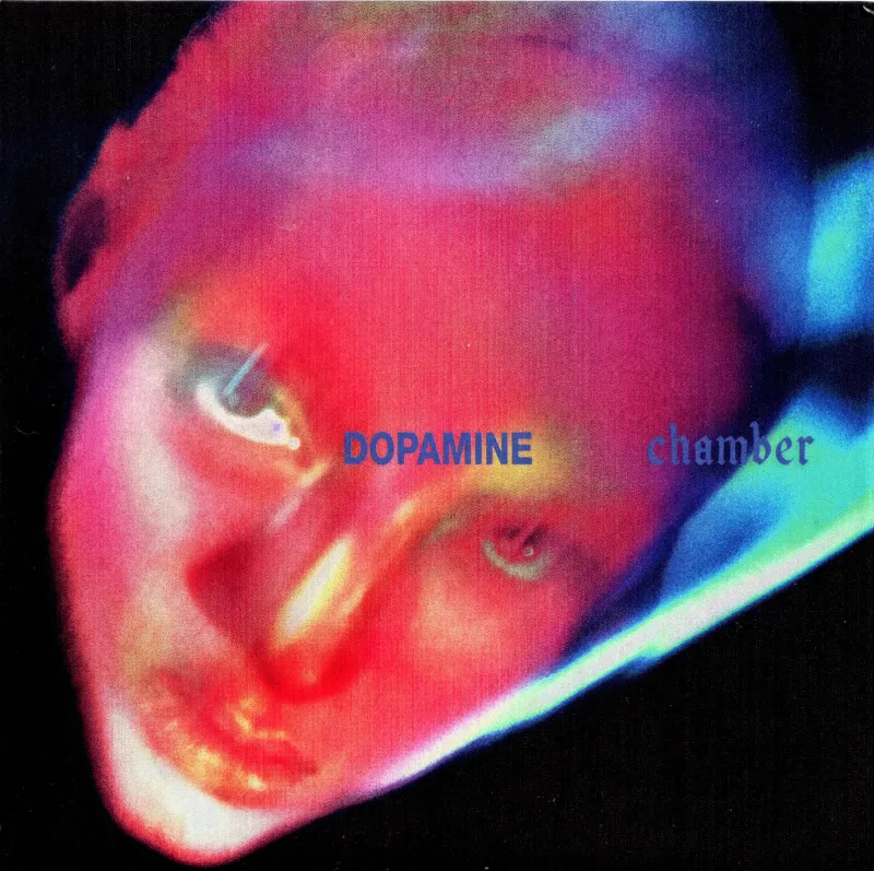 Fontaines D.C.'s 'Dopamine Chamber' dwells on existential dread