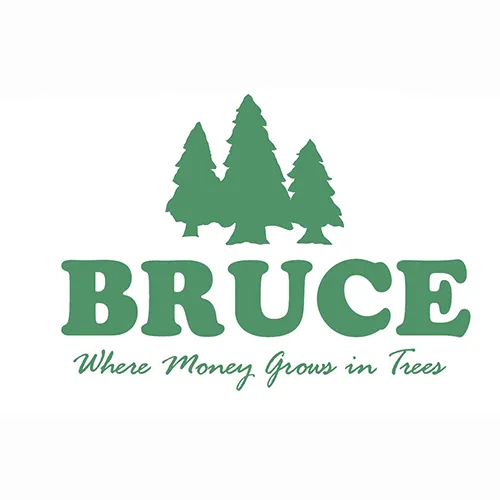 Bruce Chamber plans Christmas Parade and Museum improvements