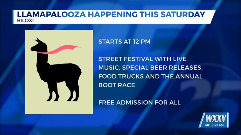 Llamapalooza happening in Biloxi this weekend