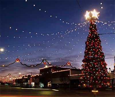Bruce to unveil 18-foot Christmas Tree in ceremony