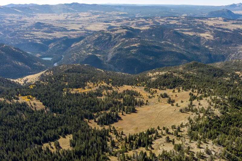 Over 150 acres protected from gold mining, development near Yellowstone