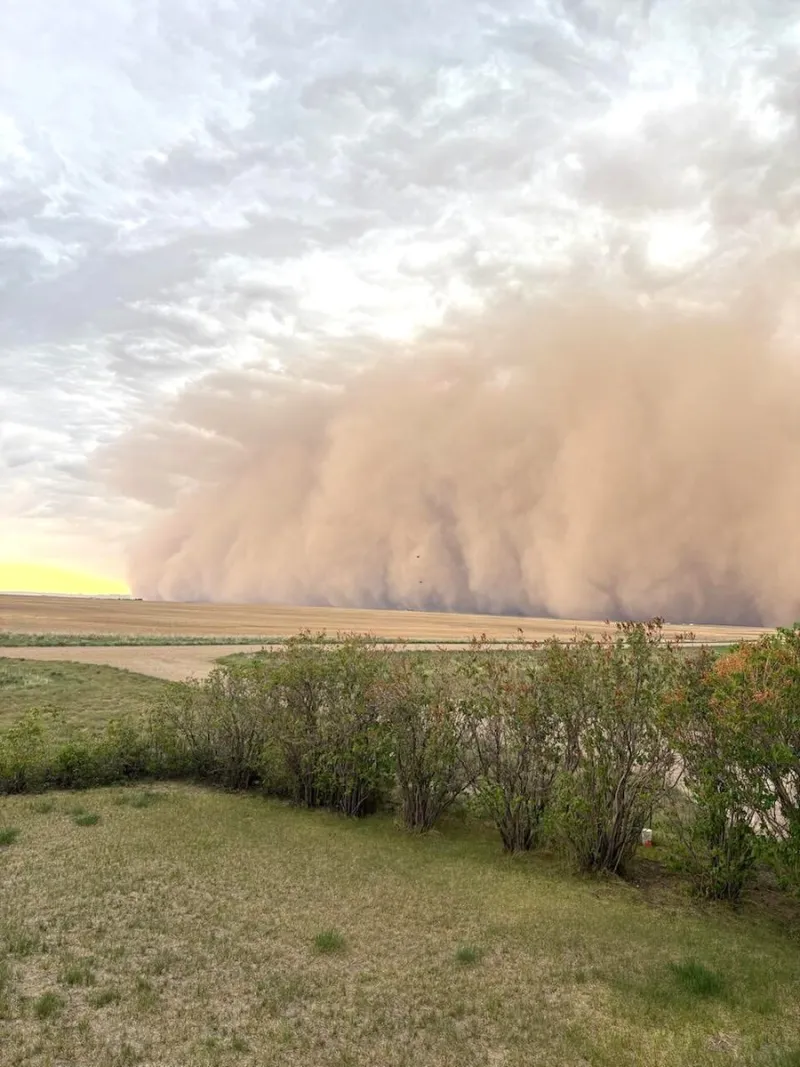 High Winds Cause Damage Across North Central Area