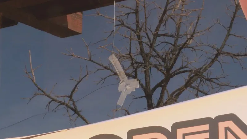 Butte slingshot vandalism spree suspects arraigned