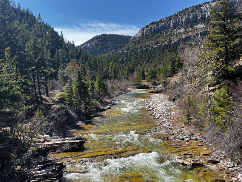Dispatches from the Wild: Indigenous lessons for modern American leadership