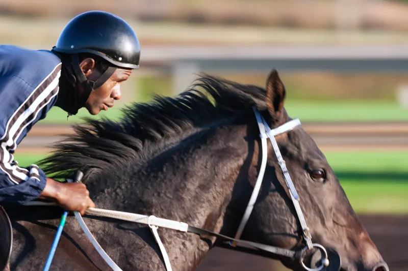 Horse racing at Montana Expo Park canceled for 2026 season