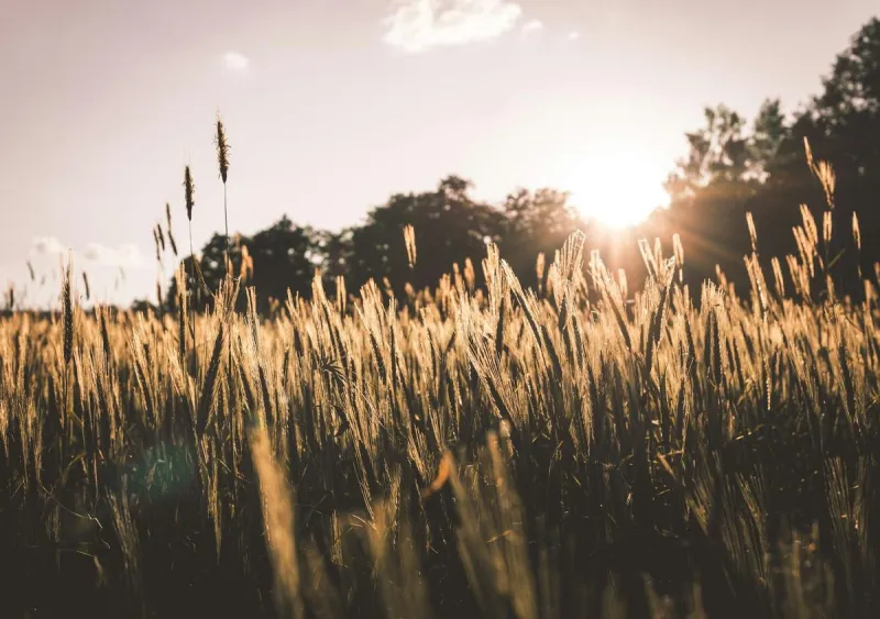 Montana's Hot Today, But Summer May Not Be That Way