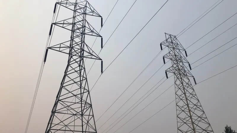 Downed tree causes power outage near Whitefish