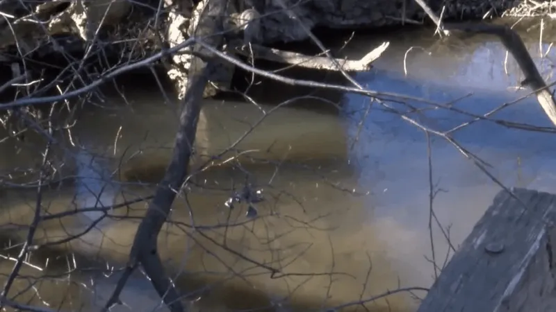 Bozeman seeks public input on creek corridor vision plan