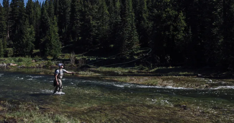 MSU research powers forecasts for trout rivers