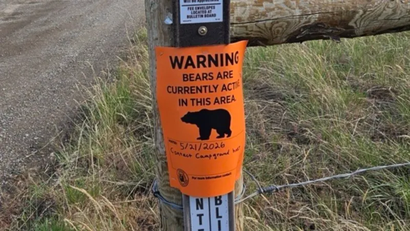 BLM restricts camping at Carbella Recreation Site due to grizzly bear activity