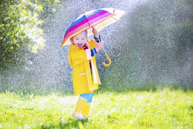 Have You Ever Seen The Rain!