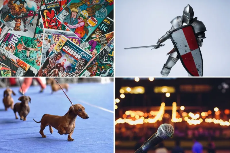 Five Big Things Happening at MetraPark in June