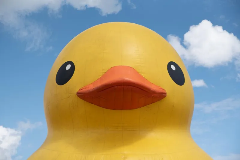 Homesteaders Days Will Be Just Ducky In Valier