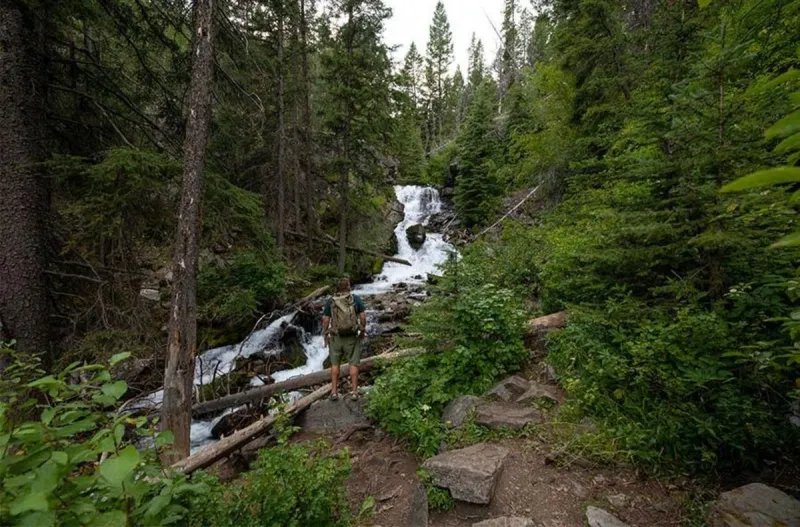 Awesome New Forest Service App For You Lovers of the Outdoors