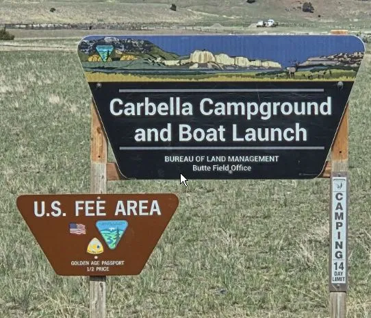 Carbella recreation site restricted to hard-sided campers due to grizzly activity