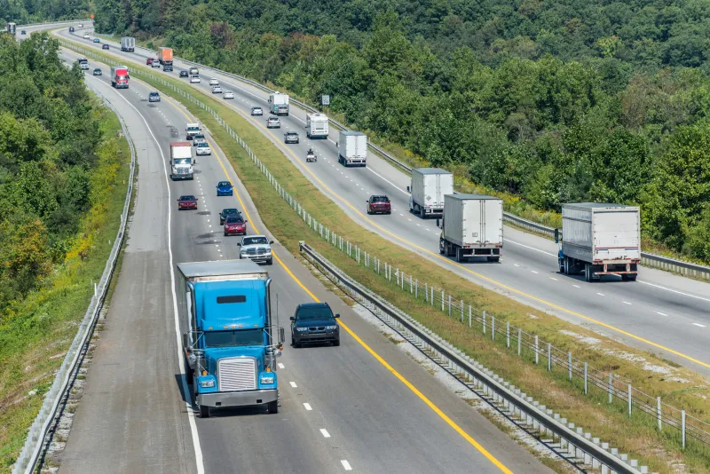 Dispatches from the Wild: The 'Trump Interstate' is an attack on America's wild heart