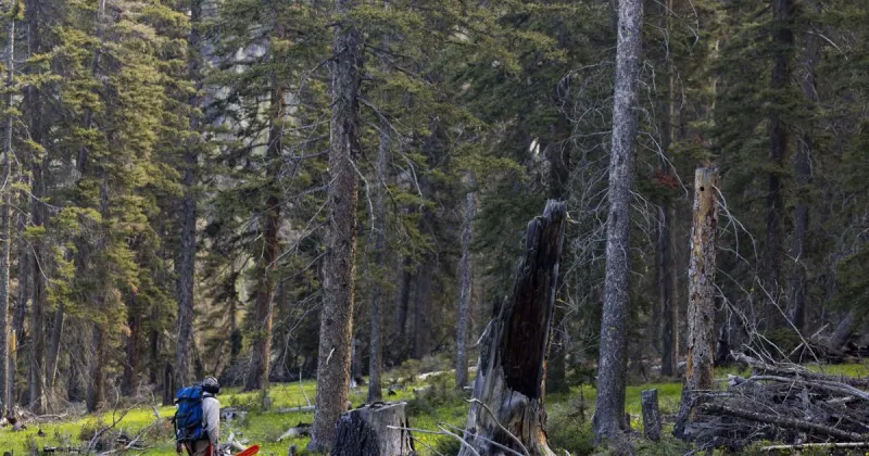 Butte heeds call for community stewardship at annual CDT trail maintenance event