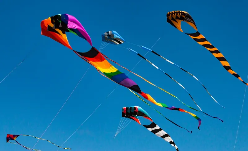 We're Flyin' The Hi-Line This Saturday