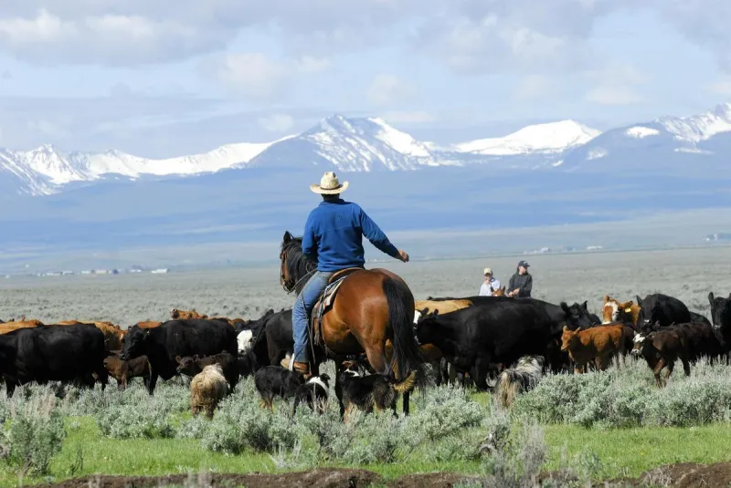 Bozeman Company Named Montana's Best Employer in 2026