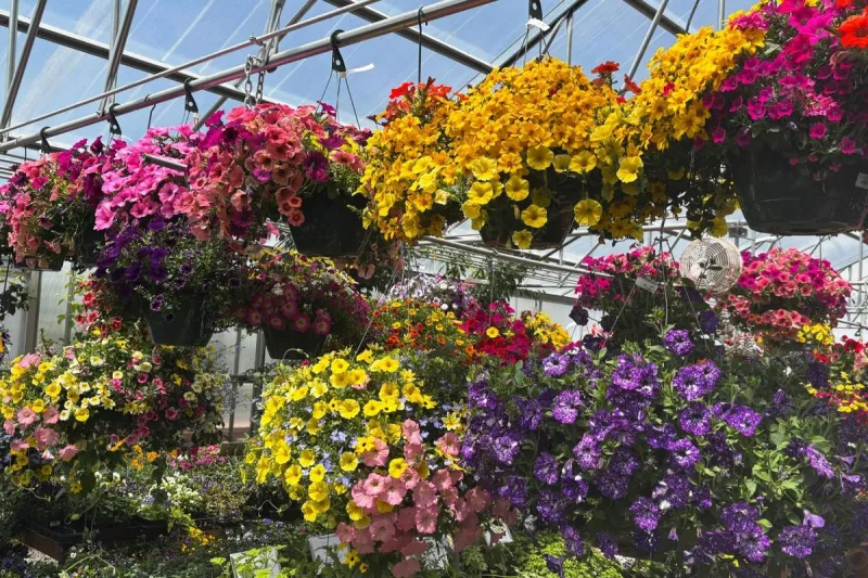 HGTV Names The Best Garden Center In Montana