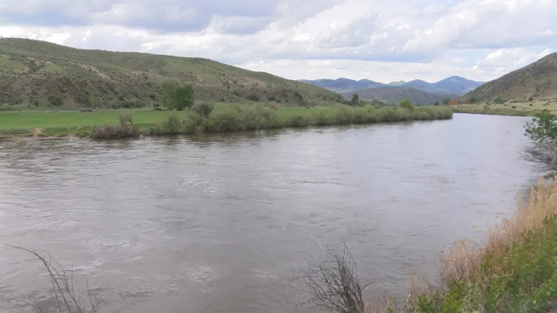 Invasive fish spotted in community ponds in SW Montana