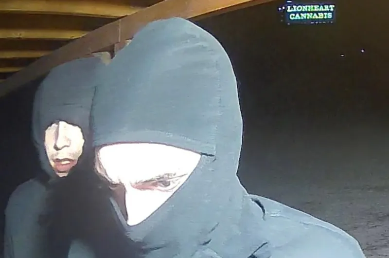 Help ID These Weed Bandits Wanted in Great Falls