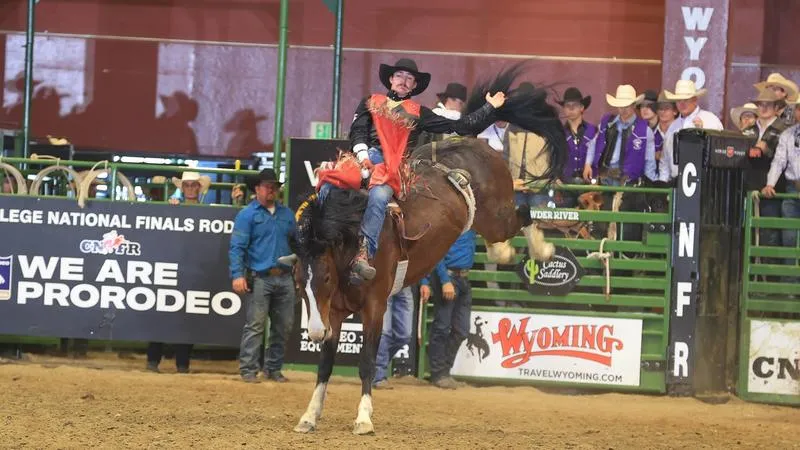 Montana Western Men's Rodeo Wraps Up Round One at CNFR