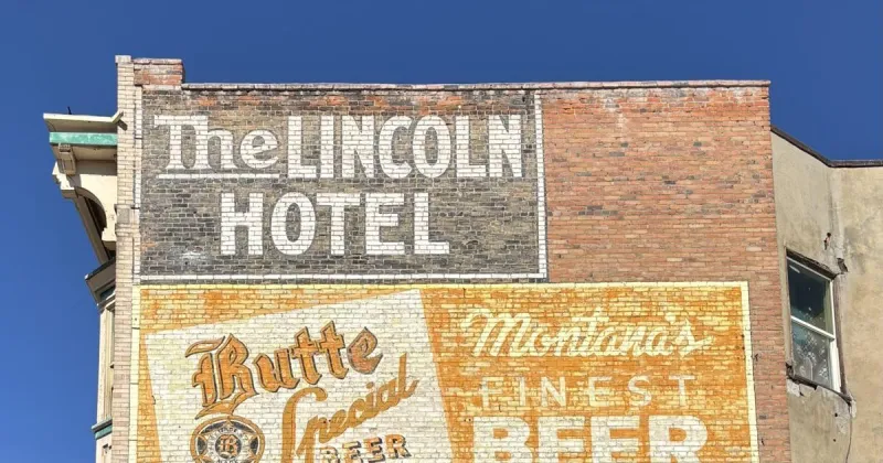 Mice, cockroaches and bed bugs: Pest infestation leads to closure of Lincoln Hotel