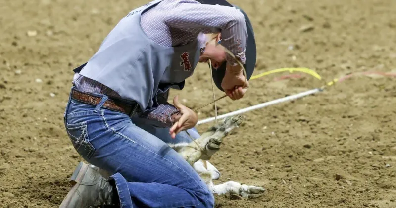 Scoreboard: College National Finals Rodeo (June 15)