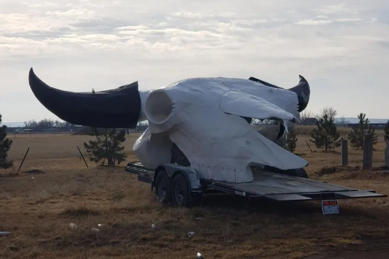 The Worlds Largest Bison Skull is Now in Billings, Montana