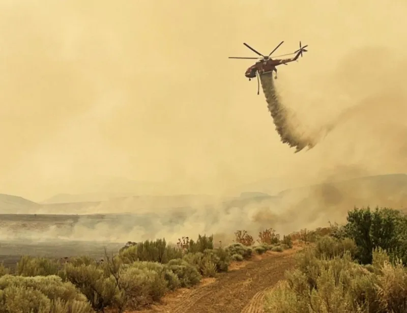 Oregon governor declares state of emergency over wildfire threat
