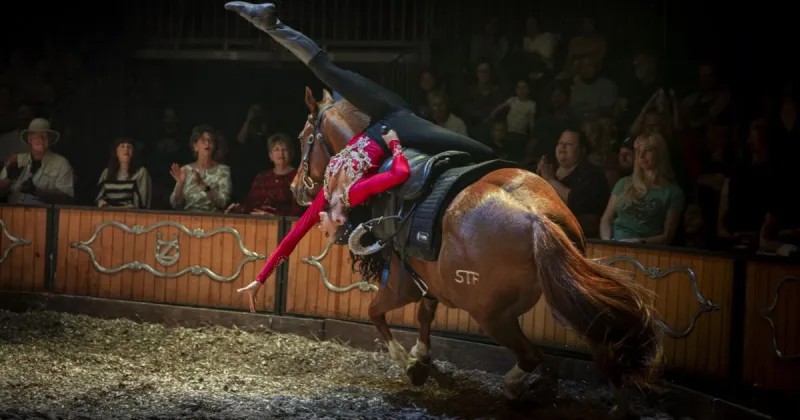 Cirque Ma'Ceo brings human-horse bond to the big top at the Helena fairgrounds