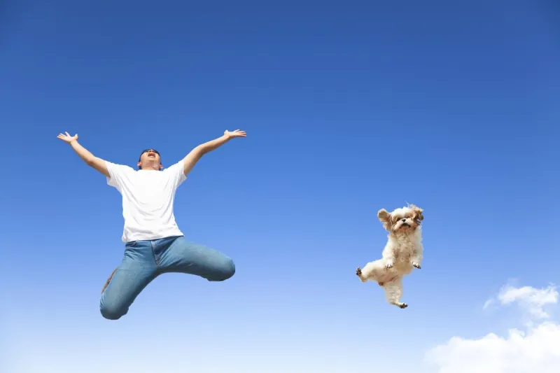 Joplin's Going To Be Jumpin' & Jivin' This Weekend