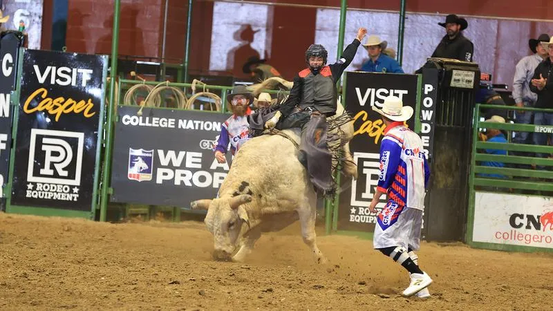 Gavin Knutson Ties for Sixth in Bull Riding at CNFR Championship