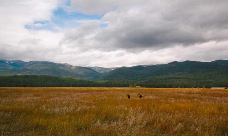 State land watchdogs sue over new land exchange rule