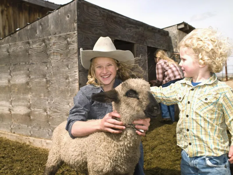 Grow With 4-H @ The Teton County Fair