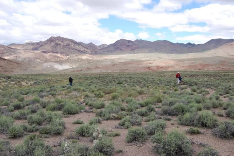 Australian firm gets South Korean backing for Nevada lithium mine