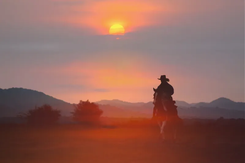 Dispatches from the Wild: Montana after Yellowstone