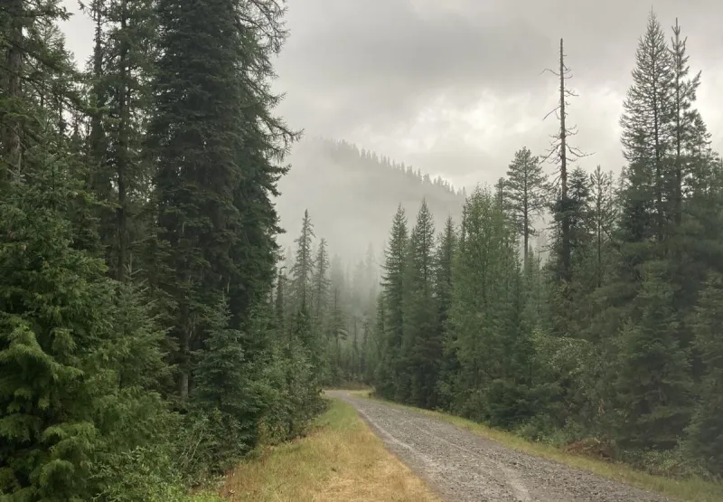 USFS emergency logging project eyes 5M acres in Montana, Idaho