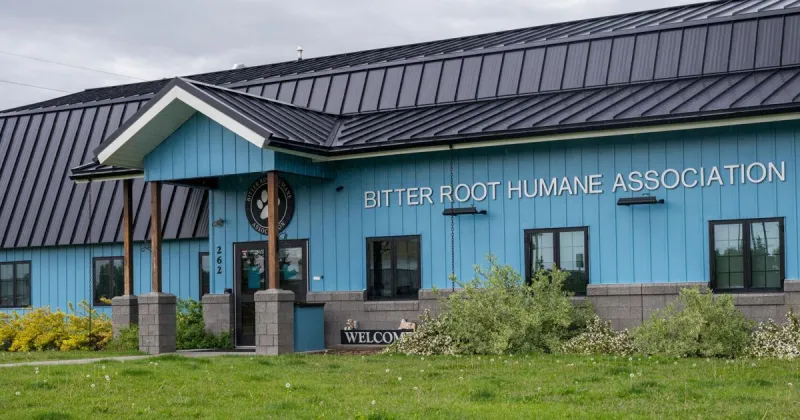 Animals seized in Corvallis cruelty case available for adoption