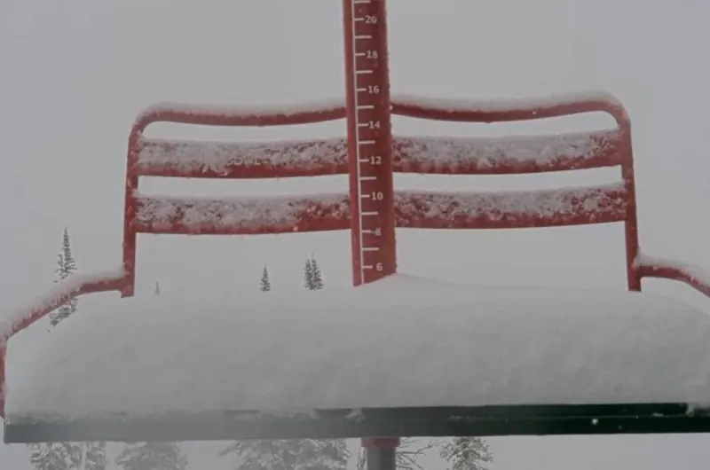 Late-June Snowstorm Brings Fresh Powder to Montana Mountains